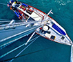 halyard lines.png